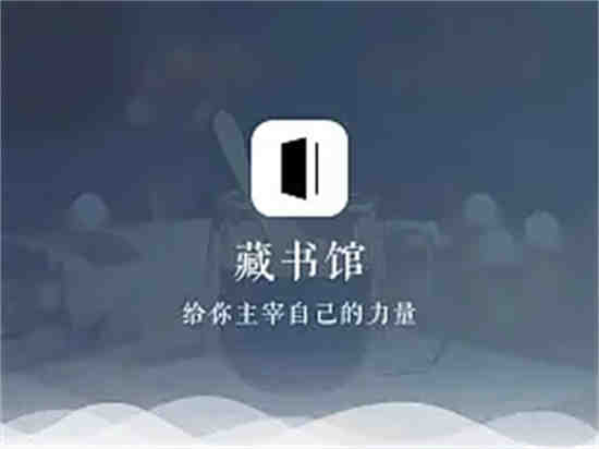 藏书馆app可以调整字体嘛(藏书馆怎样)