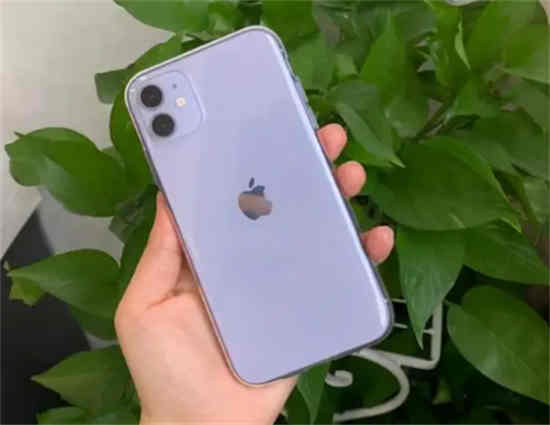 iPhone14发布后iPhone11会降价多少