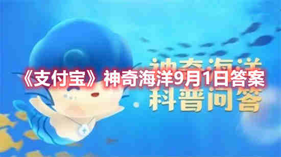 包装法新规9月1日实施(行政事业单位内部控制规范2021年9月1日执行财政部)