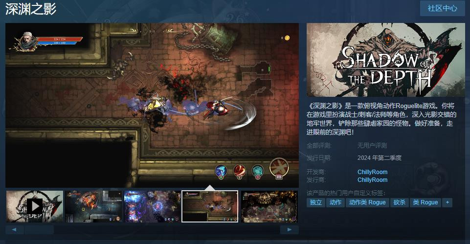 俯视角动作Roguelite游戏《深渊之影》Steam页面上线